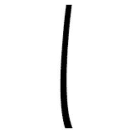 tree-bottomwind.jpg