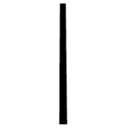 tree-straight.jpg